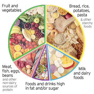 Balanced Meal Chart